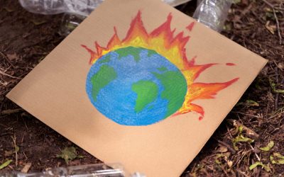 Why a Diploma in Climate Change Is More Relevant Than Ever